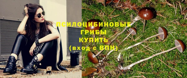ECSTASY Верхний Тагил