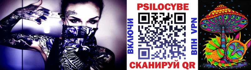Псилоцибиновые грибы мицелий  Купить где  Талдом 