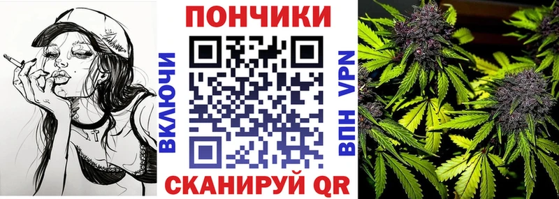 Купить  Талдом  Бошки Шишки индика 